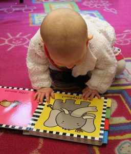 Baby looking at picture of elephant in board book